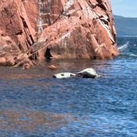 Фото отзыва 2: экскурсия "Релакс-путешествие по островам Японского моря — с гастрономической паузой"