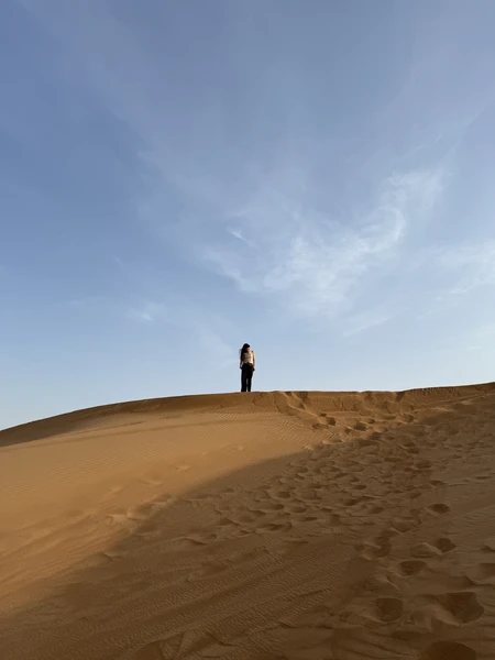 Сафари в Дубае: магия заката в пустыне без кемпов и шоу-программ (Даша)