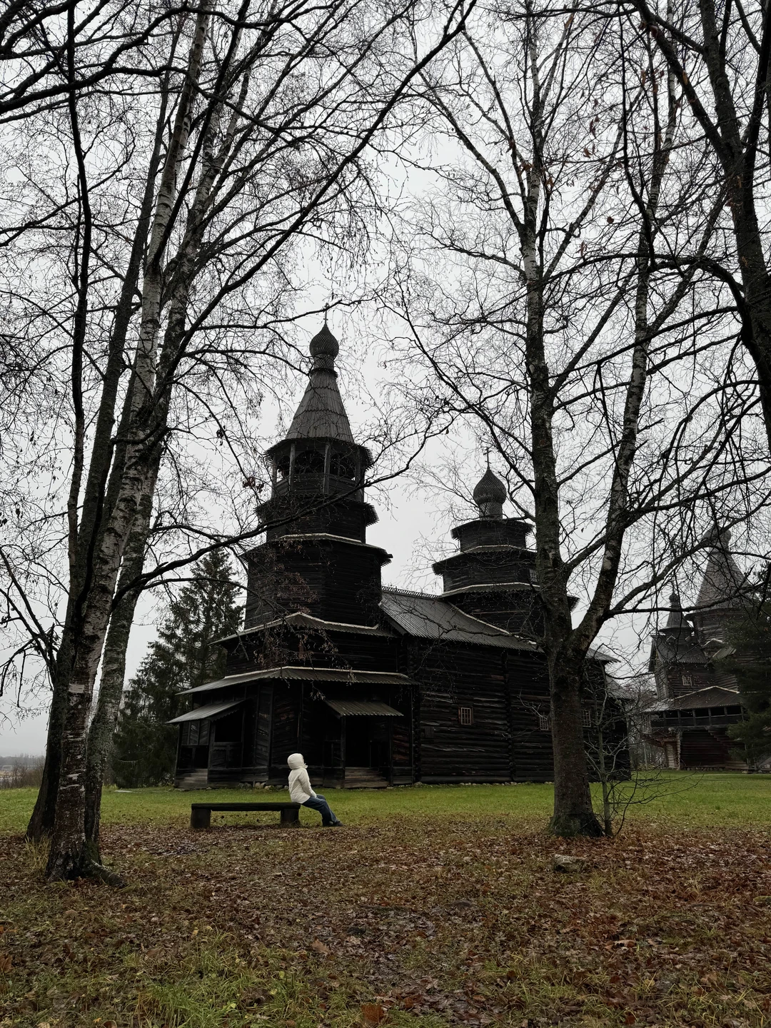 Хорошая экскурсия, но как-то суховато что ли и слишком все быстро. В Витославлицах было мало времени