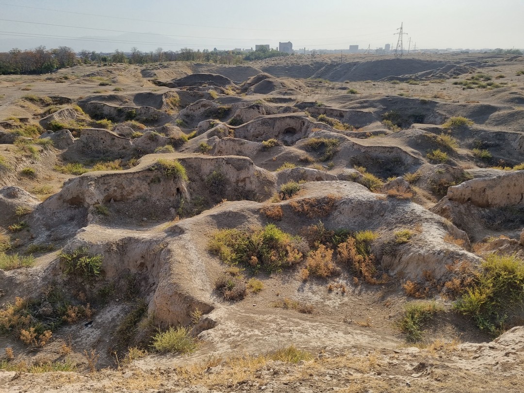 Тимур, в любом случае, харизматичный рассказчик, разбавляет повествование шутками. Точки маршрута составлены интересно, время пролетело незаметно.