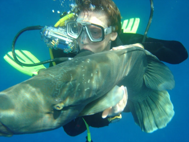 Дайвинг в Акабском заливе недалеко от Аммана