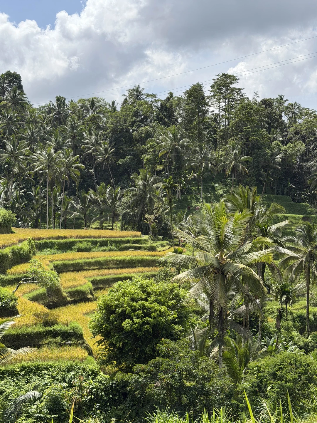 Бали, который вы ждёте (Александра)