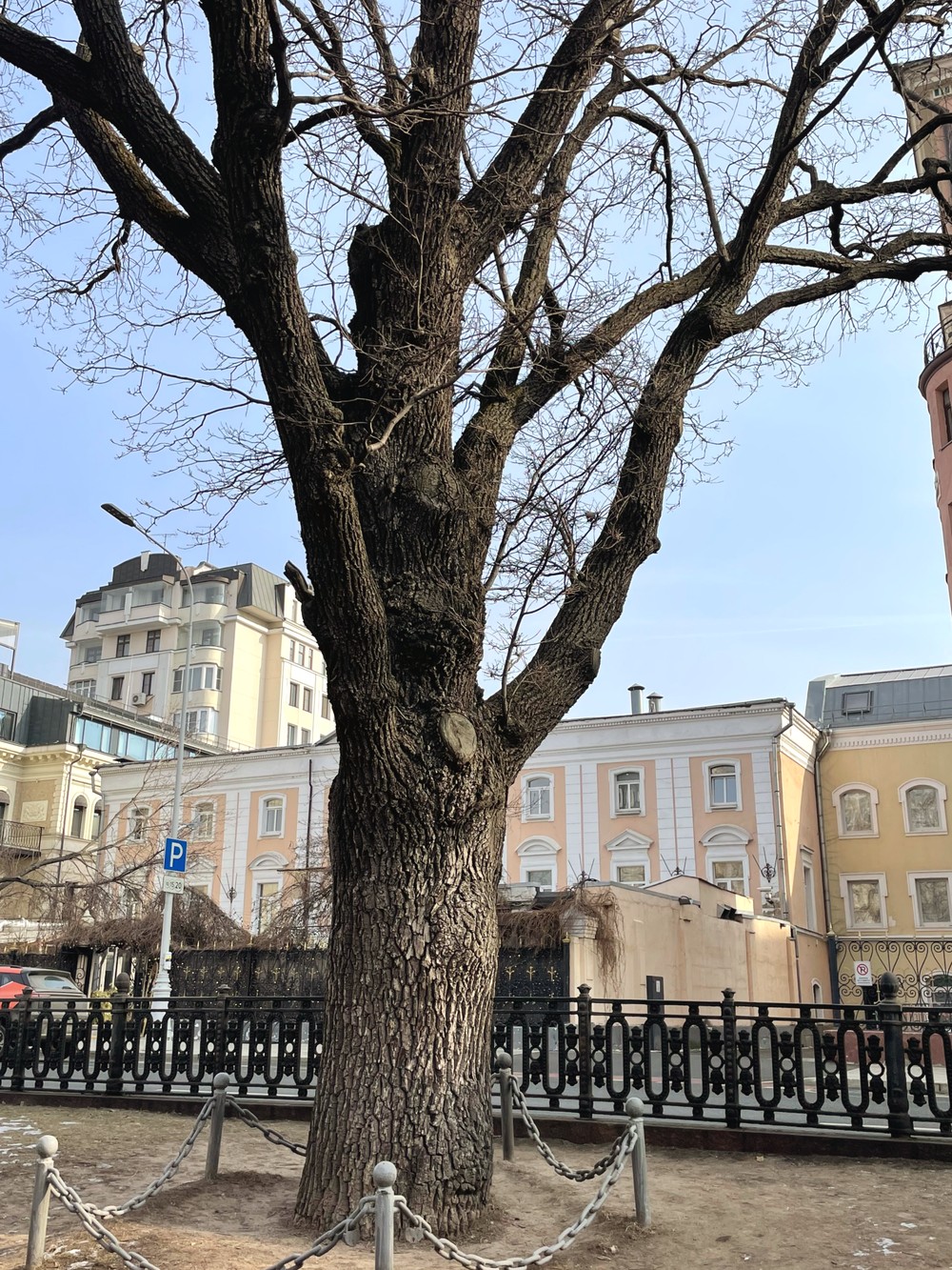 Фото Пушкинская Москва