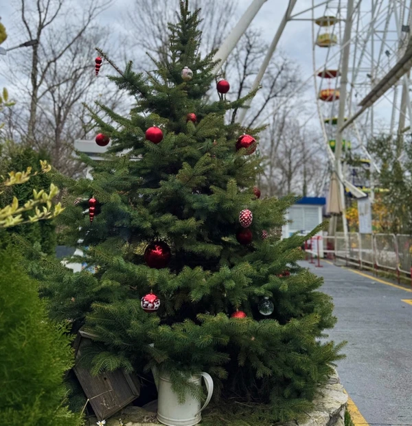 Новый год в Сочи