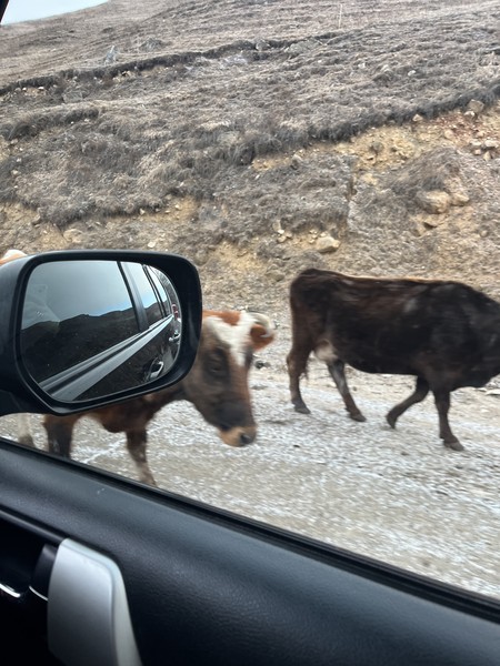 Хотела поблагодарить организаторов и нашего гида Тимерлана за такую возможность, посетить невероятно красивые достопримечательности! Все прошло