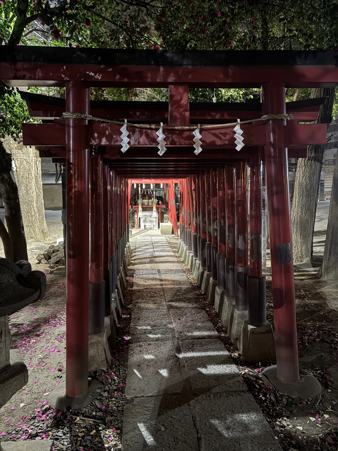 Дмитрий устроил нам интересное и яркое погружение в историю Японии. Он также показал, как прошлое повлияло