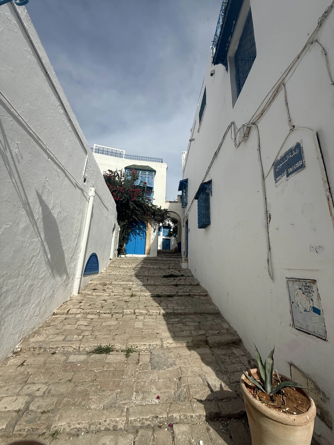 Всё было круто! Советуем