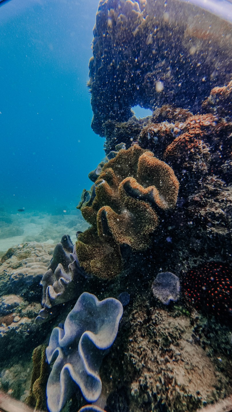 Сегодня у нас был опыт погружения с аквалангом и хочу поделиться своими впечатлениями. Всё прошло на высшем уровне!