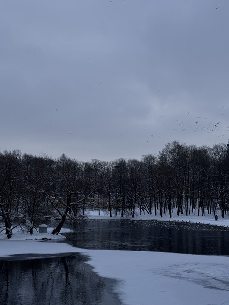 Огромное спасибо гиду Кириллу за чудесную экскурсию! Он увлекательно рассказывал по пути и терпеливо отвечал на