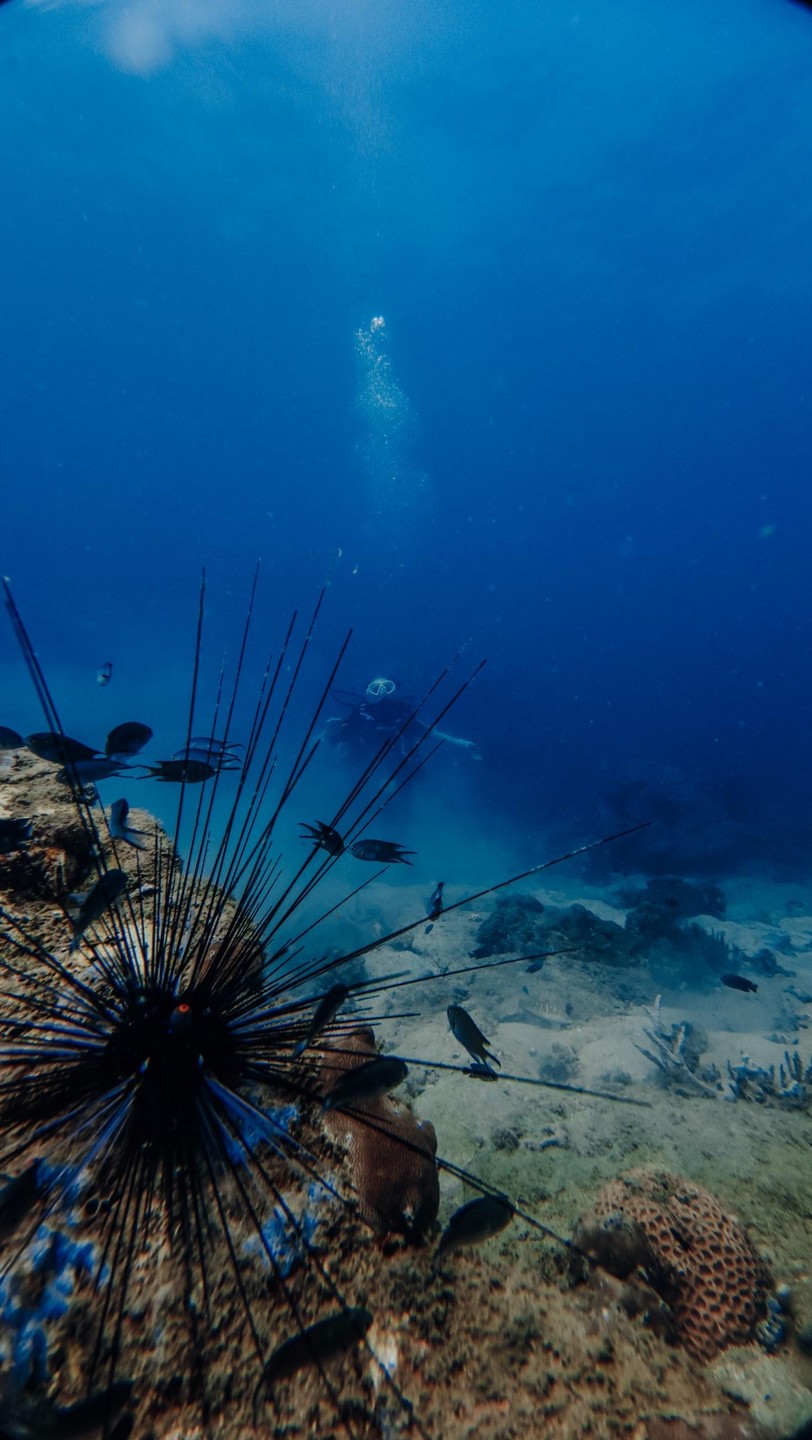 Большая, невероятная благодарность Жене, за организацию, поддержку и очень душевное сопровождение! Для жены был первый опыт
