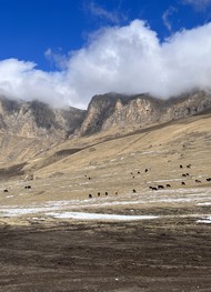 Фото отзыва 2: экскурсия "Урочище Джилы-Су: магия Северного Приэльбрусья из Железноводска"