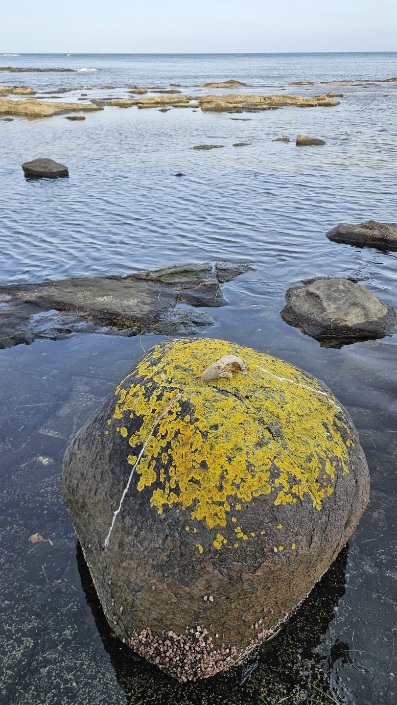 Длительная поездка для любителей бездорожья на сафарике под управлением невозмутимого гида-водителя Владимира. Мне всё понравилось -