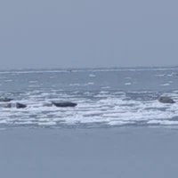 Фото отзыва 1: экскурсия "Флоатинг и айс-флоатинг по-сахалински — морская терапия для души и тела"