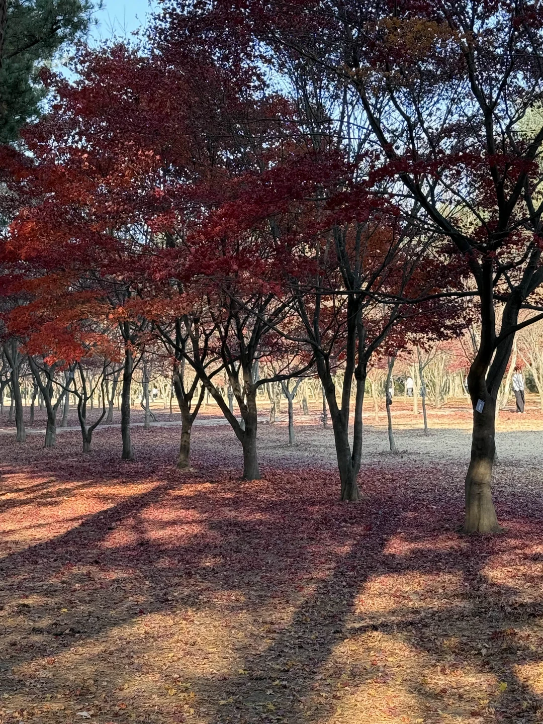 Все понравилось, большое спасибо!