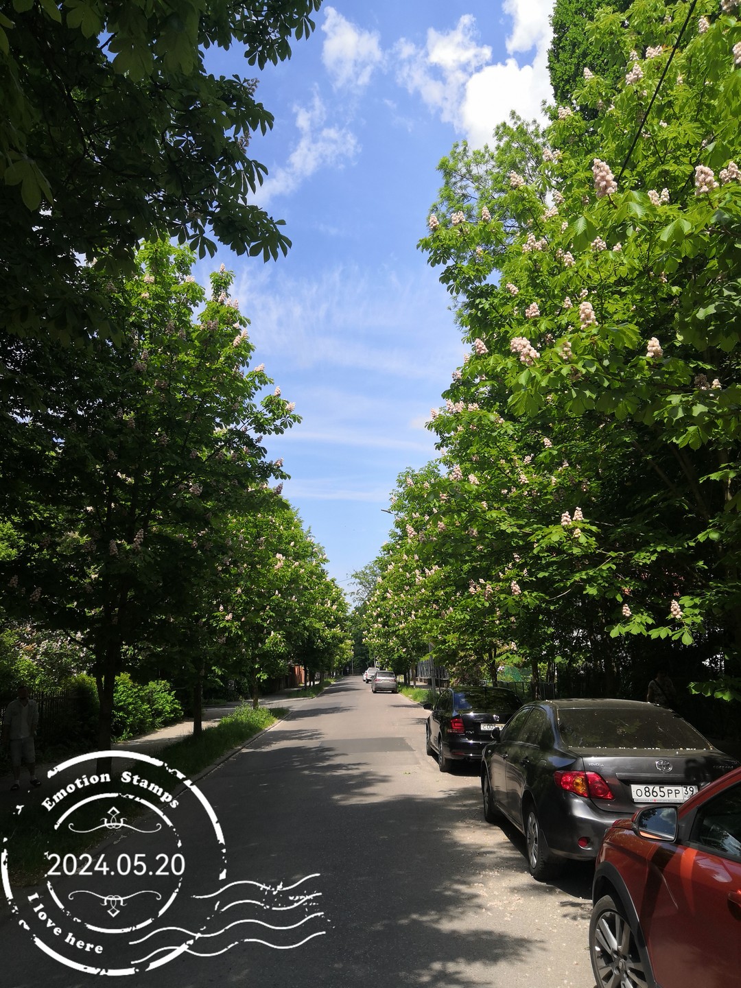 Благодарю Галину за интересную поездку.