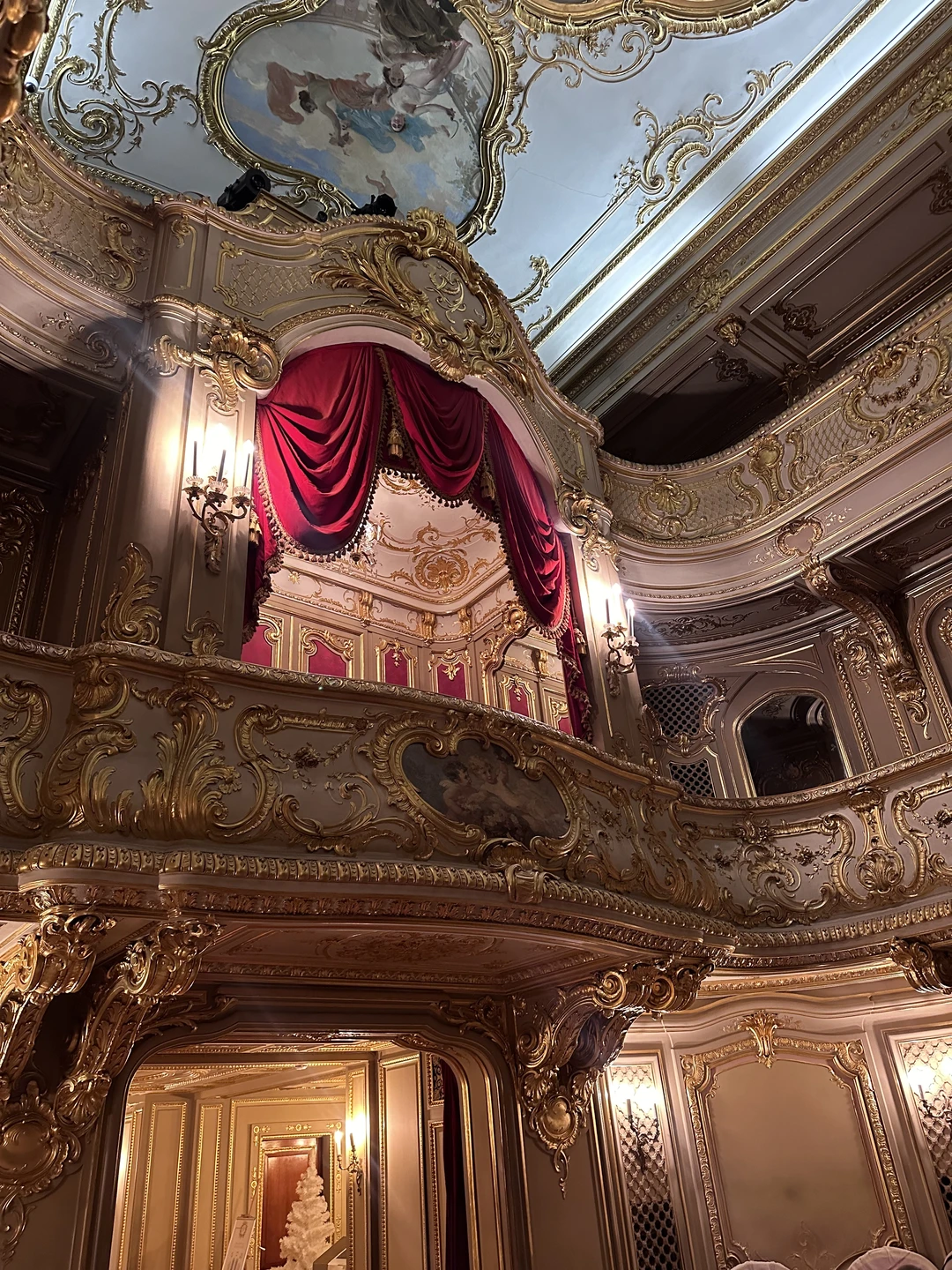 Величие и загадки Юсуповского дворца (Ирина)