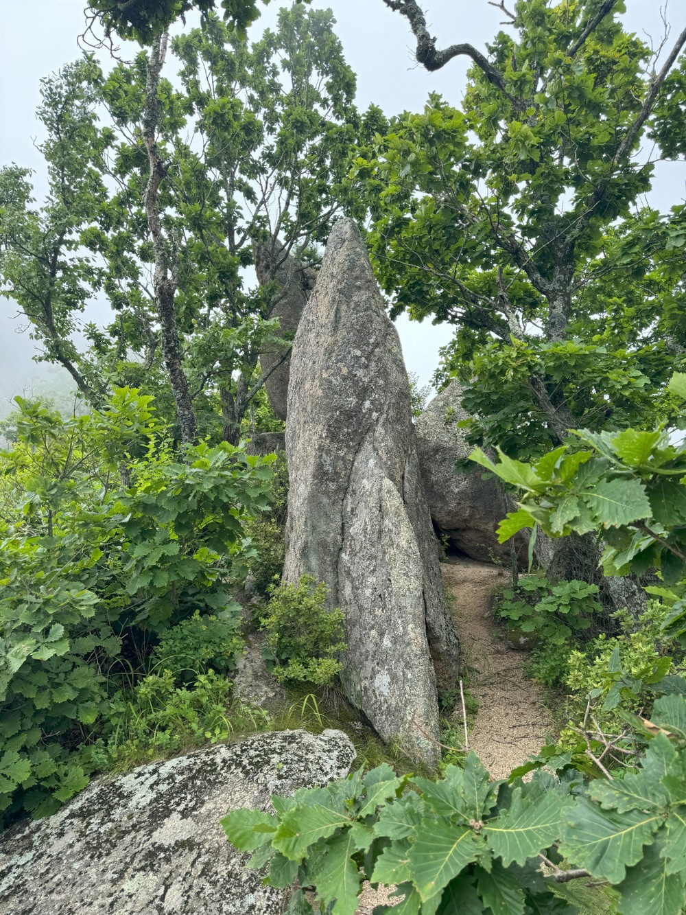 Два дня на восточном побережье Приморья (6/17)