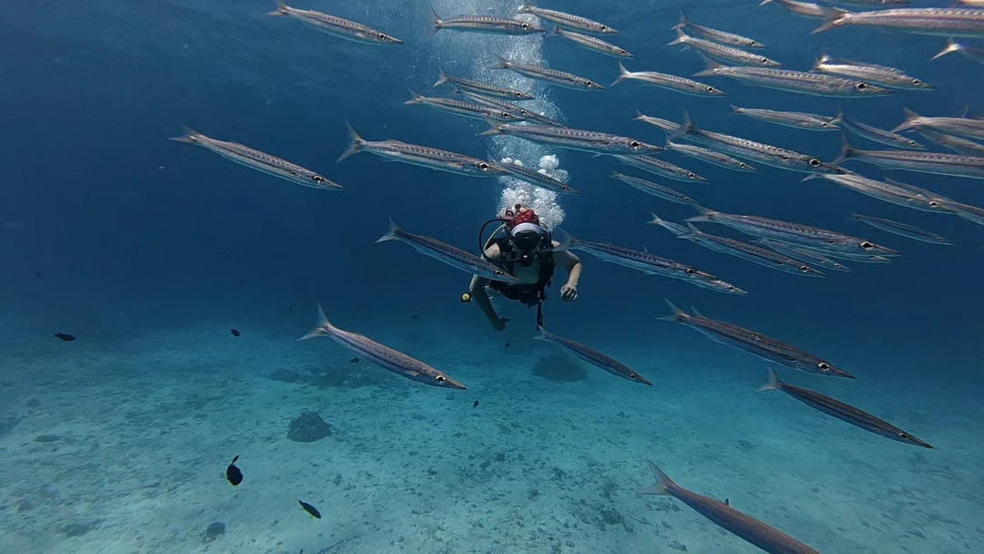 Дайвинг на Пхукете для новичков - всё включено (MINNUBAEV)