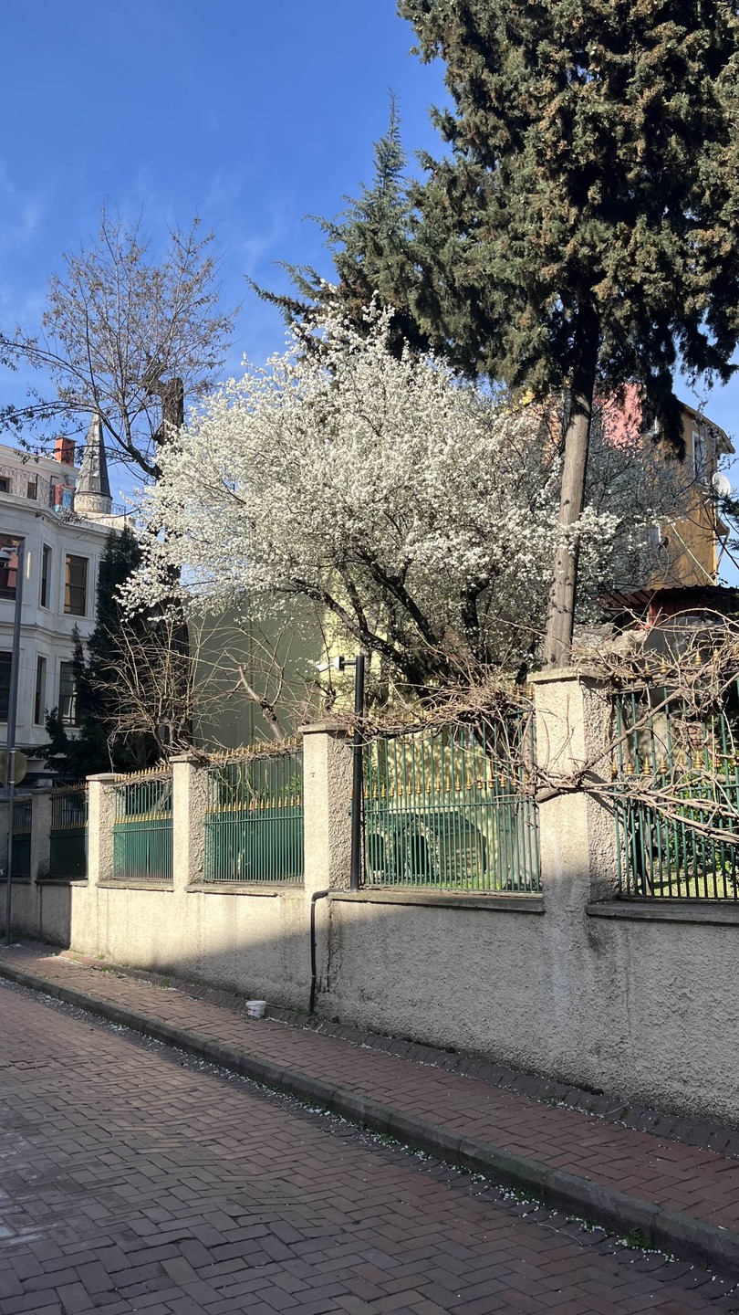 Рада была посетить экскурсию, которую провел Махмут 👍🌟 интересно, лаконично, прекрасным русским языком, глубокие знания истории.