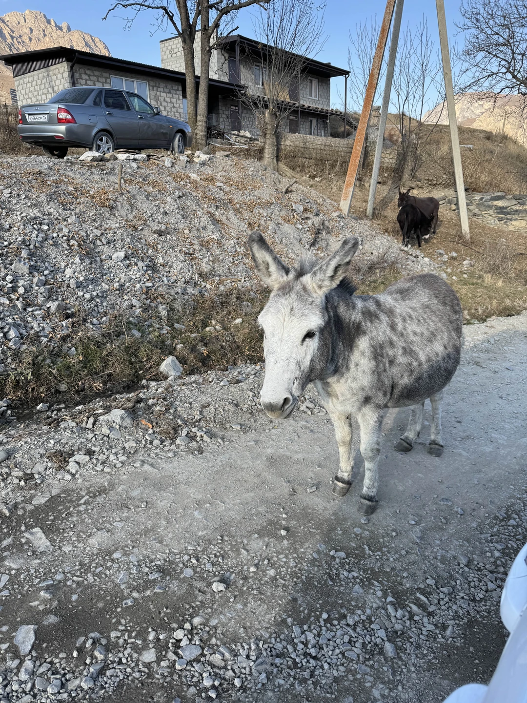 Ездили на экскурсию вместе с Николаем. Понравилось абсолютно все, начиная от связи за день до выезда и заканчивая рассказами о местных жителях