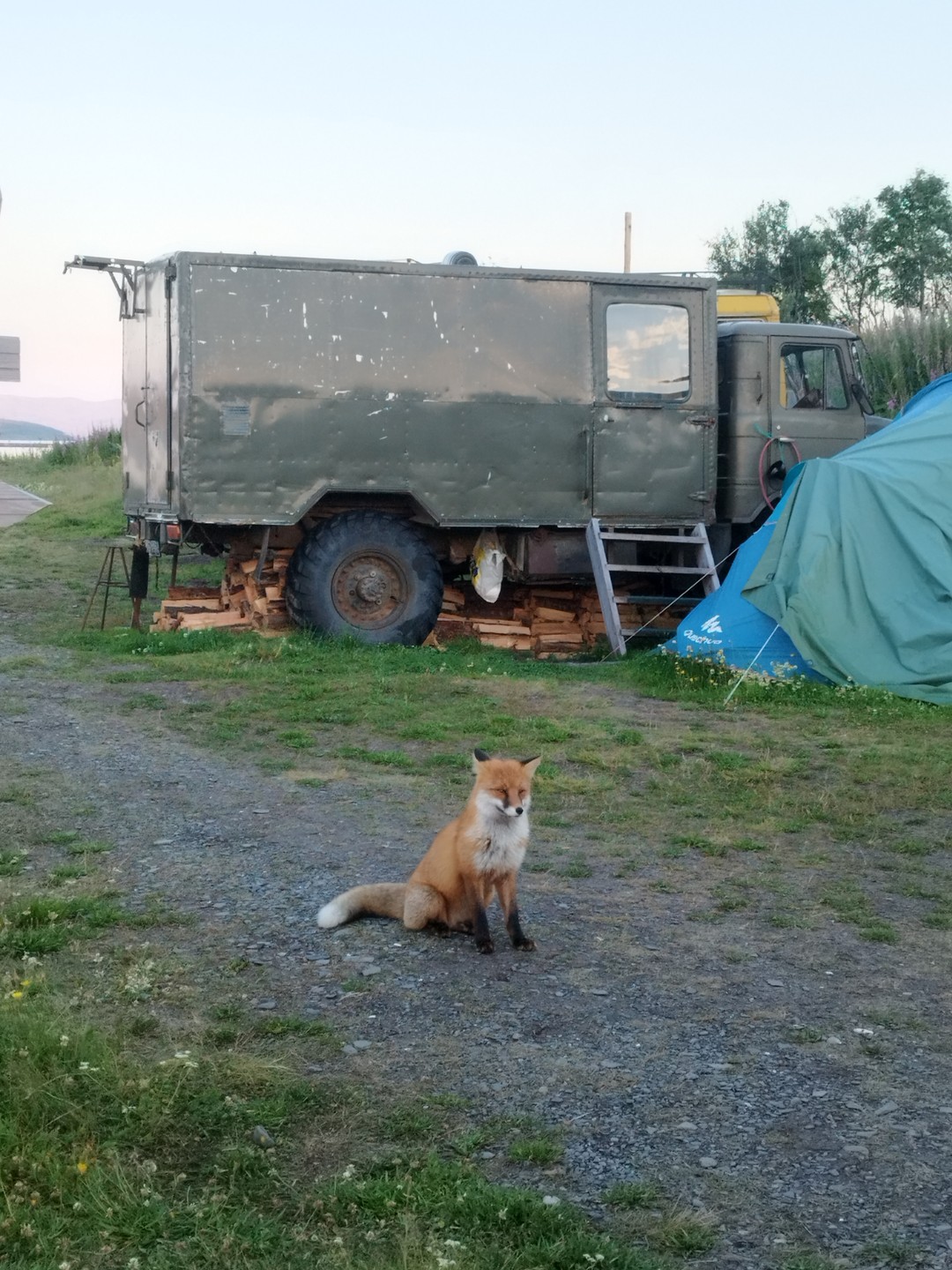 Просто прекрасный тур! Отличная организация, комфортный лагерь, фантастические перемещения на КАМАЗе и ГАЗ-66! Отдельное огромное спасибо,