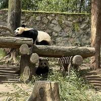 reviews img
