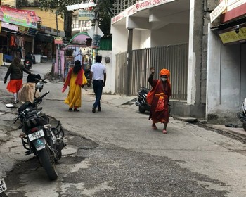 Фото отзыва 3: авторский тур "Большой тур по Индии с походами: храмы, берег Ганга и вершины Гималаев"