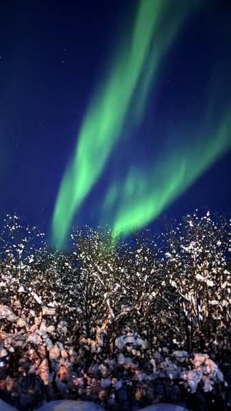 Обыкновенное чудо Арктики: на поиски северного сияния в мини-группе (Татьяна)