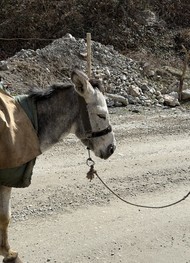 Фото отзыва 4: экскурсия "Хафткул: семь удивительных озёр"