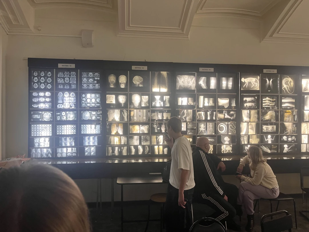 Анатомический Эрмитаж: обзорная экскурсия-лекция (Дмитрий)