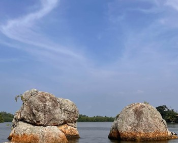 Прогулка на лодке, встреча с обезьянами, остров корицы