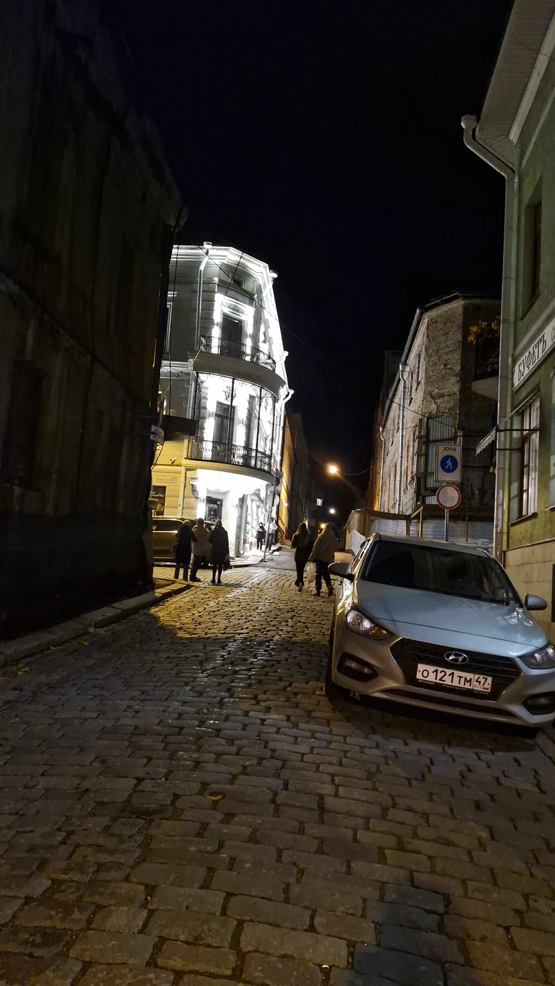 Выборг в компании художника (Александр)