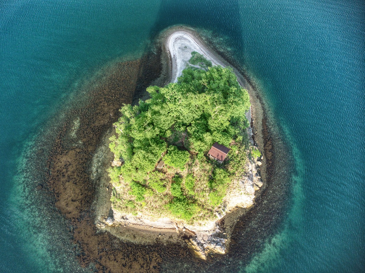 Фото За яркими фото и морепродуктами — на остров Русский и мыс Тобизина!