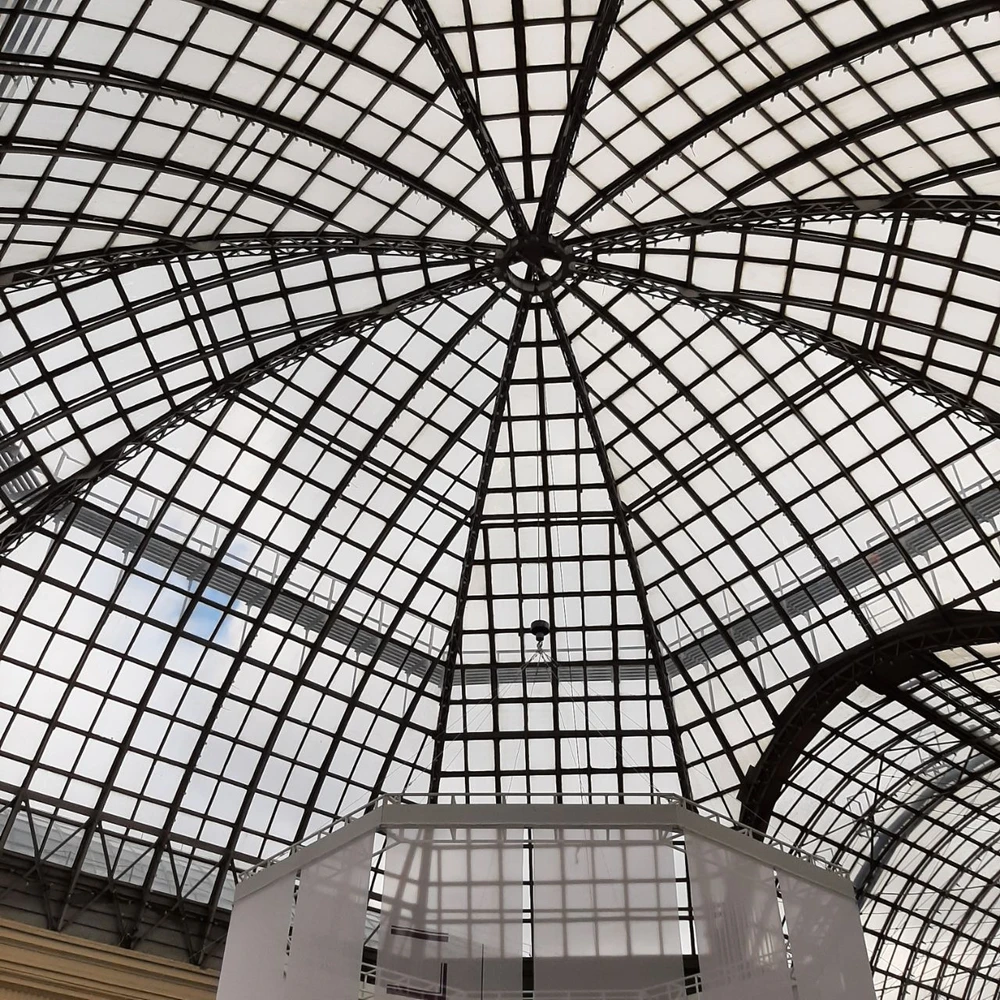 Особая атмосфера московских пассажей (12/14)