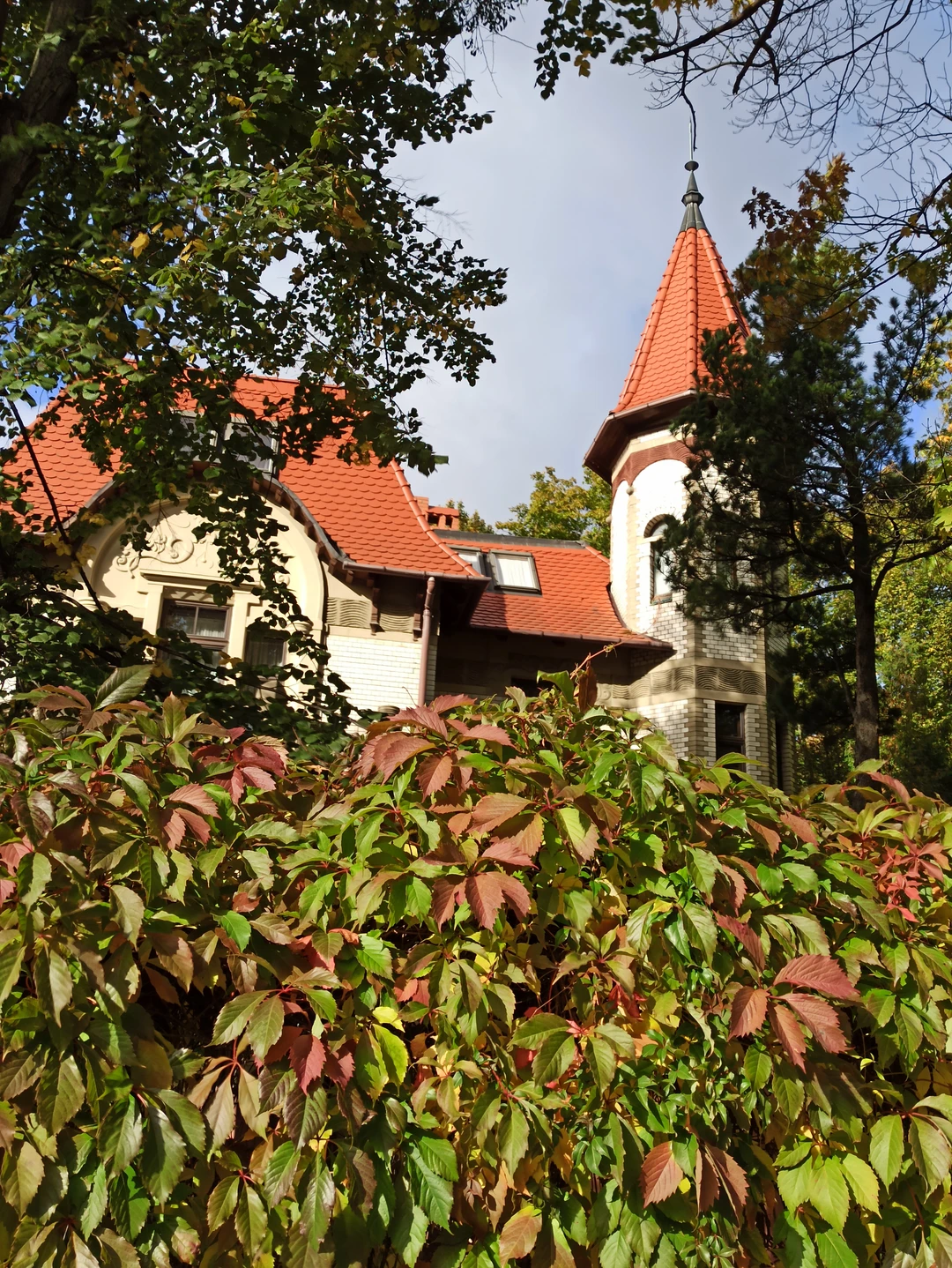 Амалиенау - район для хорошей жизни (Елена)