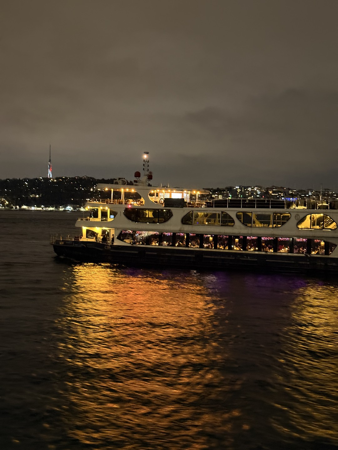 Отличная программа, очень здорово отдохнули, посмотрели на ночной Стамбул с Босфора, послушали песни в живом исполнении