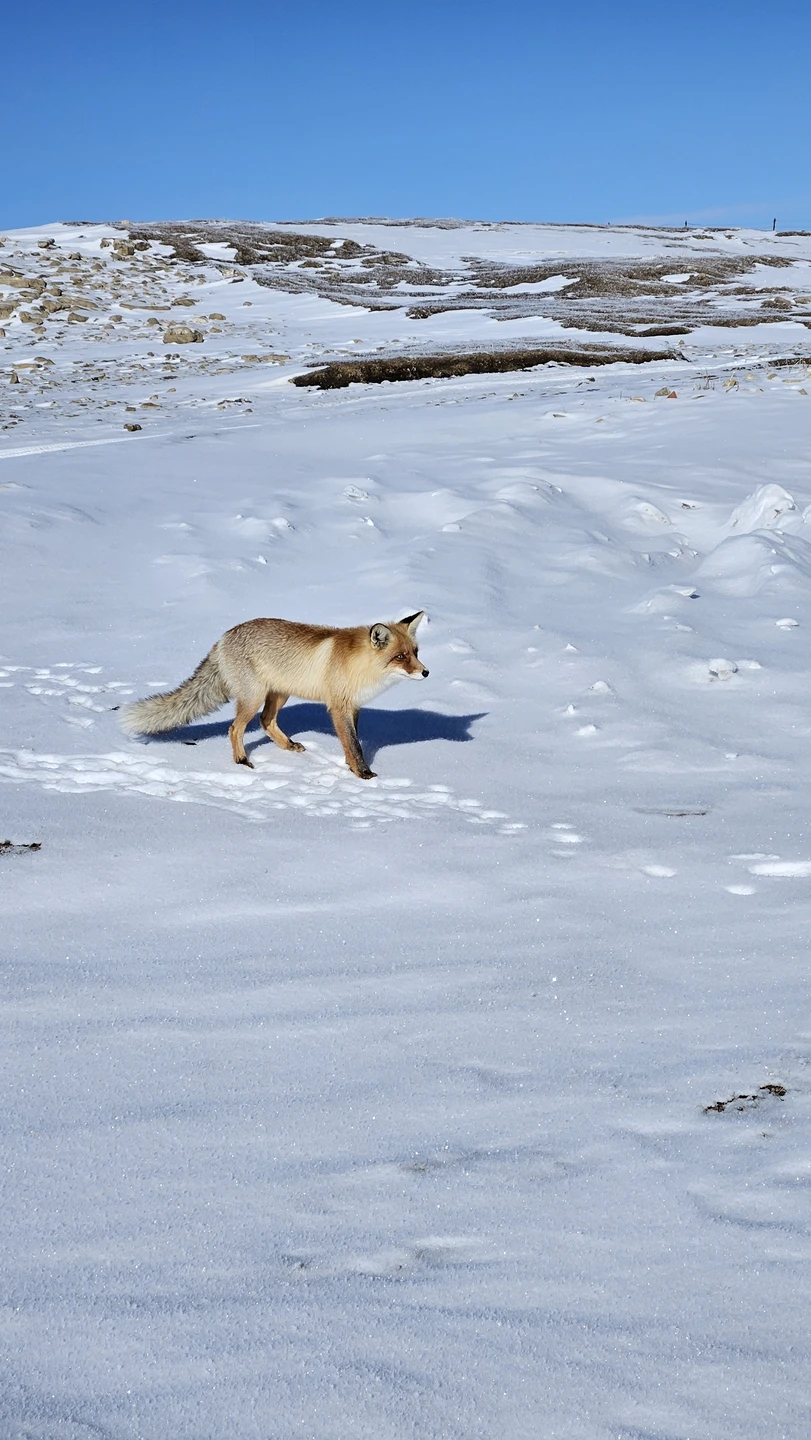 Потрясающая экскурсия! Очень познавательно, шикарные виды. Плато прекрасно в любое время года. Это точно стоит увидеть