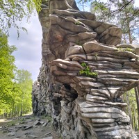 Фото отзыва 1: экскурсия "Душевная прогулка к скалам Чертова городища"
