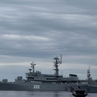 Фото отзыва 3: экскурсия "Кронштадт + Петергоф за 1 день"