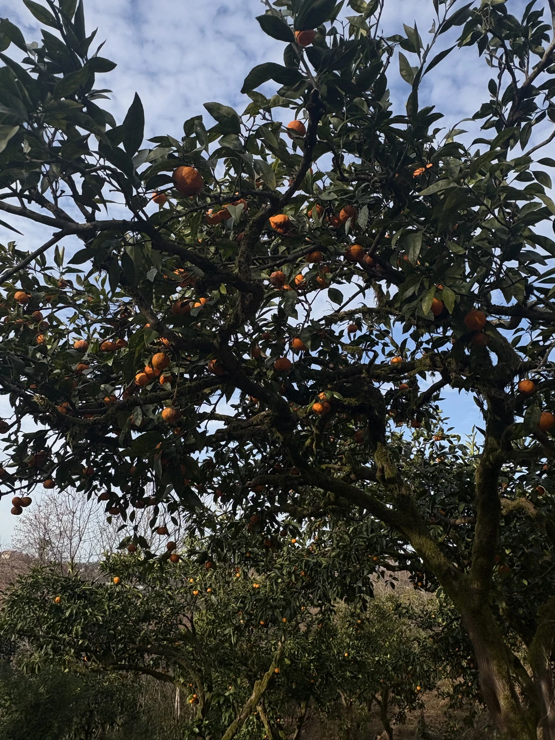 Это был просто невероятный опыт! Мы пришли втроём — я, моя мама и мой сын 12