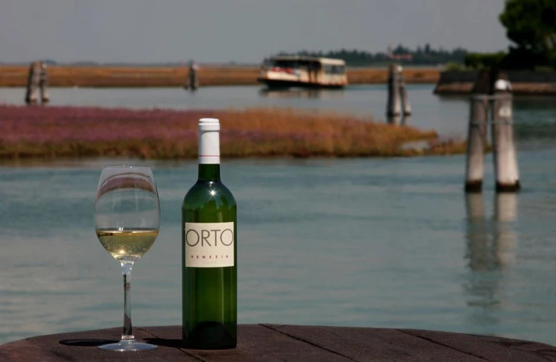 Фото отзыва 2: экскурсия "Вино и артишоки по-венециански"