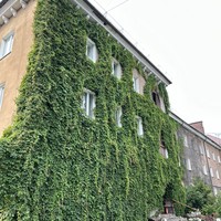 Фото отзыва 3: экскурсия "Янтарный и Светлогорск"