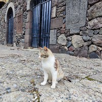 reviews img