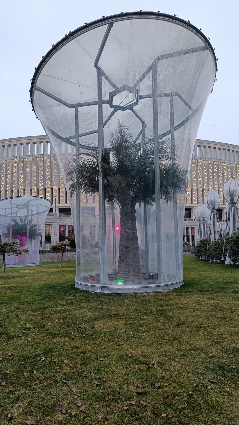 В конце декабря были на экскурсии в Парке Галицкого с экскурсоводом Юлией. Немножко не повезло с