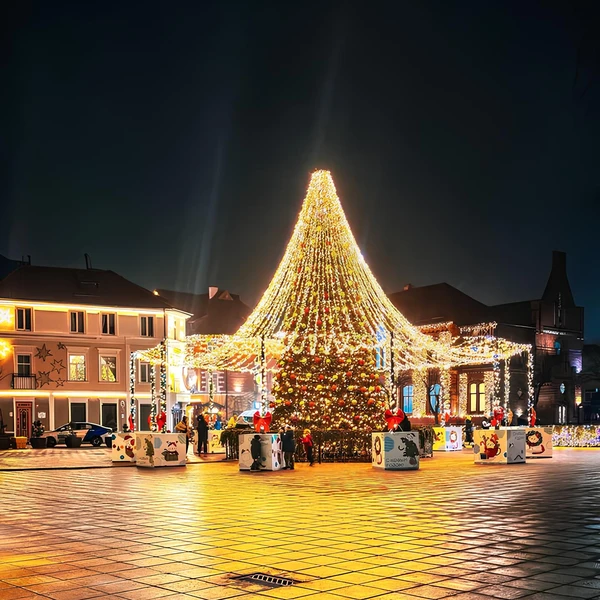 Обзорная экскурсия «Зеленоградск перед Рождеством»