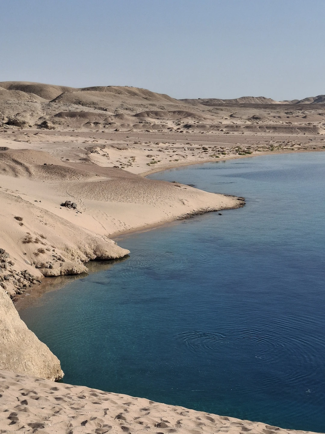 Великолепная экскурсия! Она была не очень долгой, но очень запоминающейся. Спасибо большое Махмуду! Интересный рассказ, все