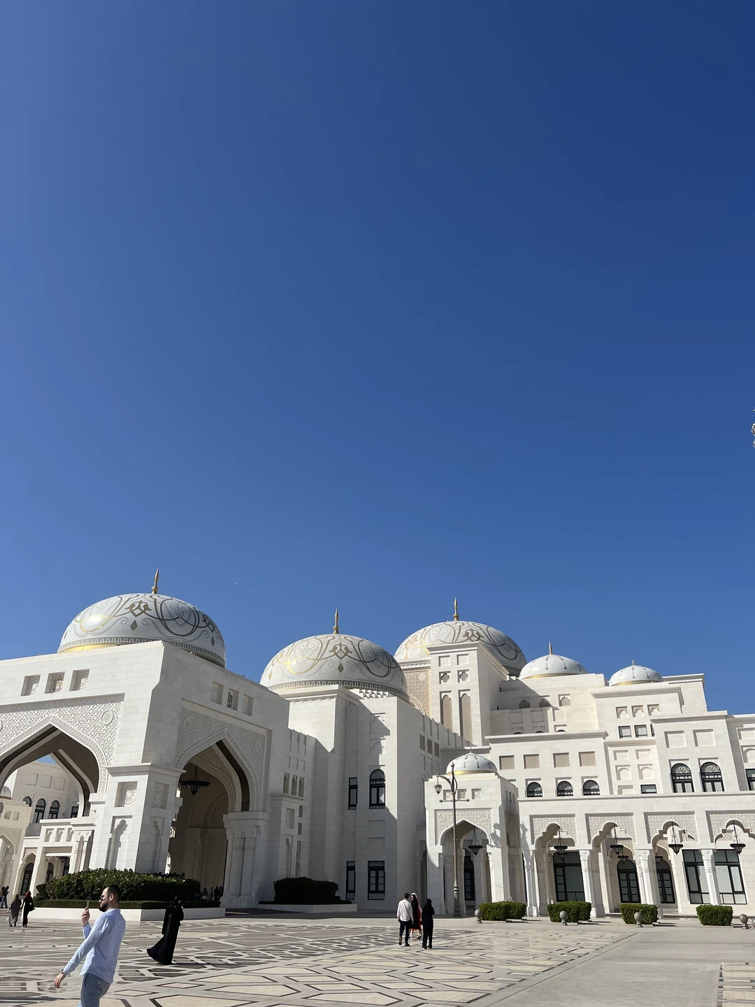 Абу-Даби в мини-группе с посещением Президентского дворца (Denis)