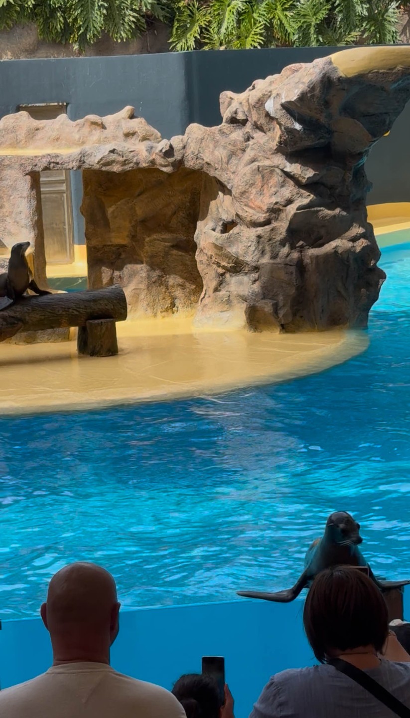 Отличная экскурсия с Александром!