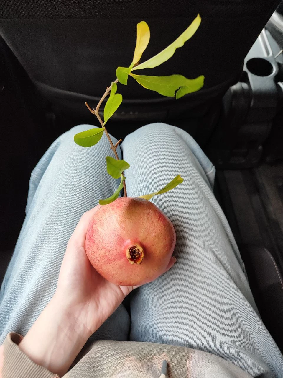 Обожаю эстетику кладбищ! Но путешествие по кладбищам Тбилиси позволило не просто посозерцать, а буквально прикоснуться к