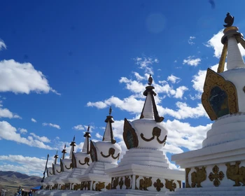 По монгольским степям в Дархан